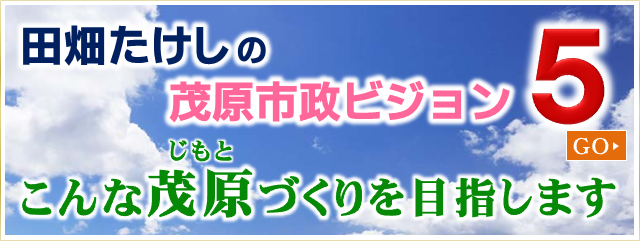 茂原市政ビジョン５（こんな茂原づくりを目指します）